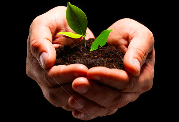 一手货源卡密的在线短信网页版免费版